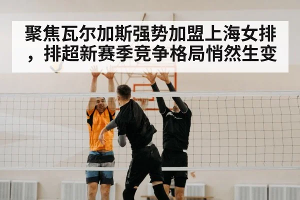 聚焦瓦尔加斯强势加盟上海女排,排超新赛季竞争格局悄然生变