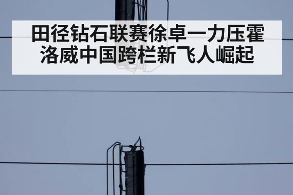 田径钻石联赛徐卓一力压霍洛威中国跨栏新飞人崛起