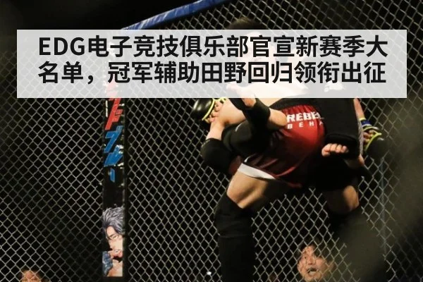 EDG电子竞技俱乐部官宣新赛季大名单,冠军辅助田野回归领衔出征